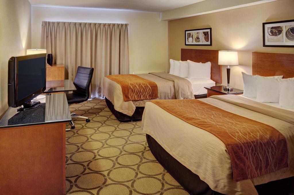 Comfort Inn Hamilton Exteriér fotografie