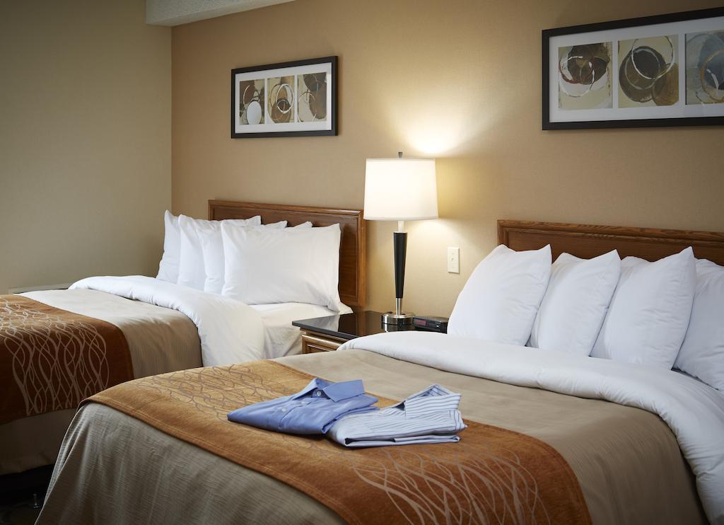 Comfort Inn Hamilton Exteriér fotografie