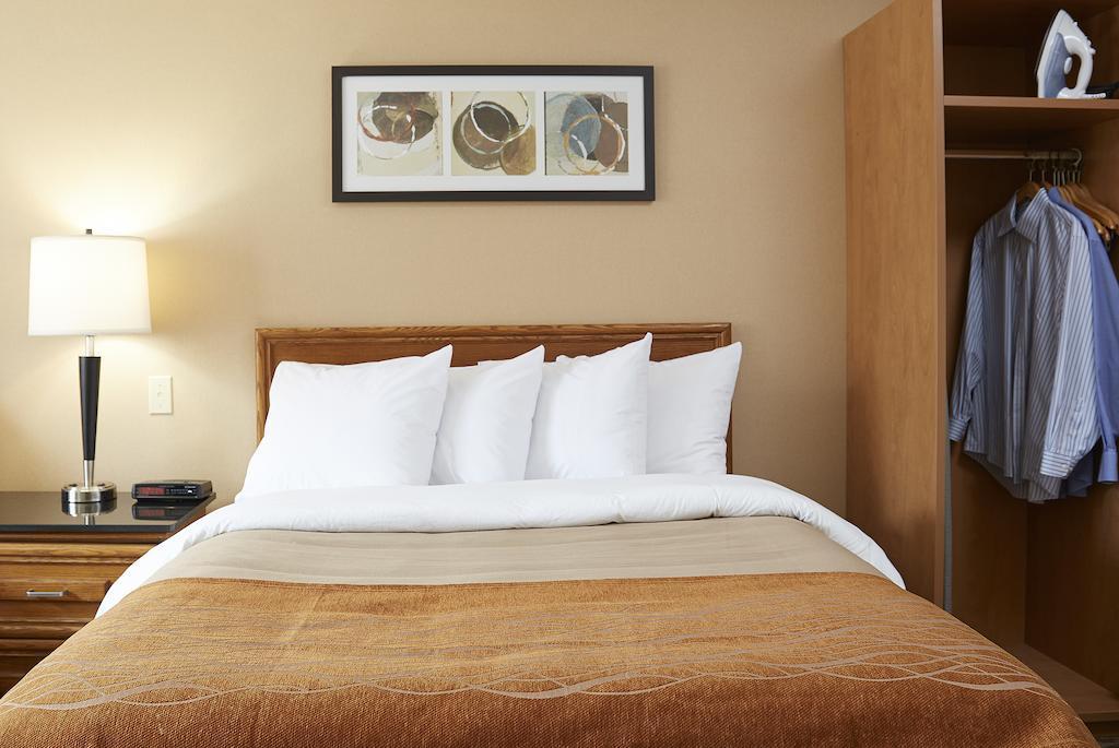 Comfort Inn Hamilton Exteriér fotografie