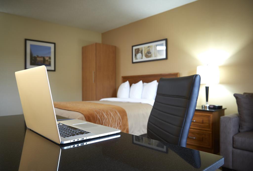 Comfort Inn Hamilton Exteriér fotografie