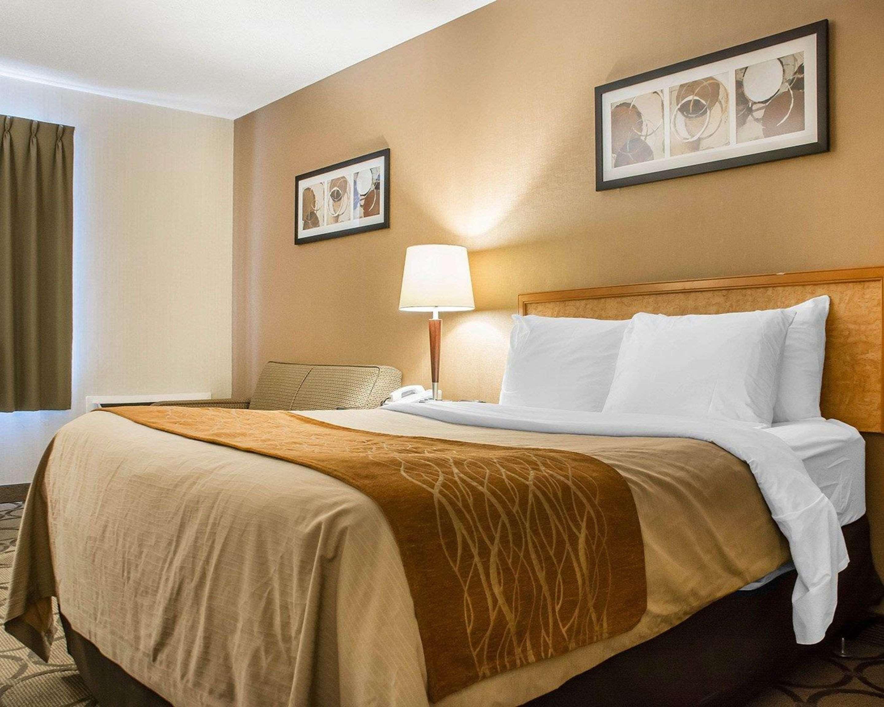 Comfort Inn Hamilton Exteriér fotografie